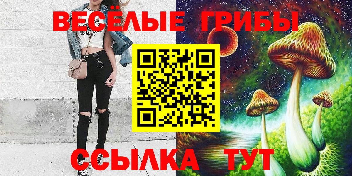 Галлюциногенные грибы мицелий  Галлюциногенные грибы ЛСД  Вход с VPN  Серпухов 