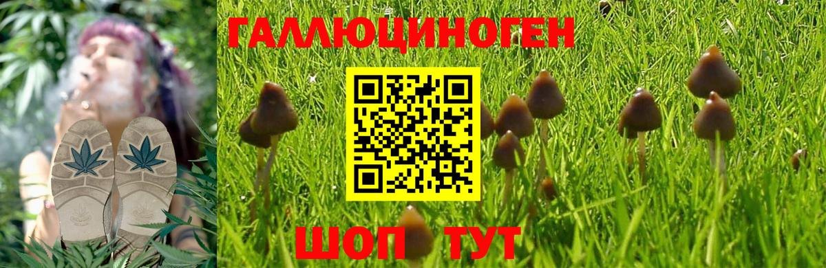 Галлюциногенные грибы MAGIC MUSHROOMS Серпухов